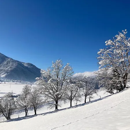 Apartment In Pinzgau, Cleaning Included *
